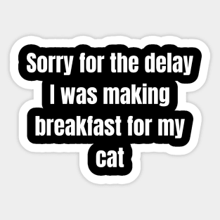 Sorry for the delay I was making breakfast for my cat Sticker